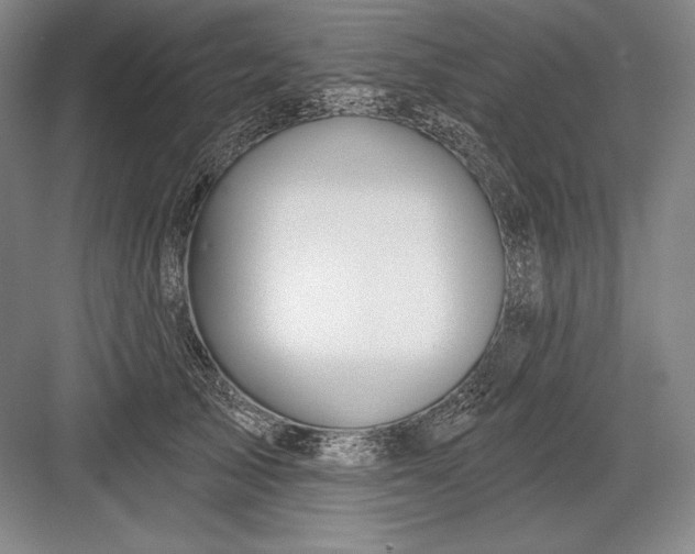 X0000082960705200702152306