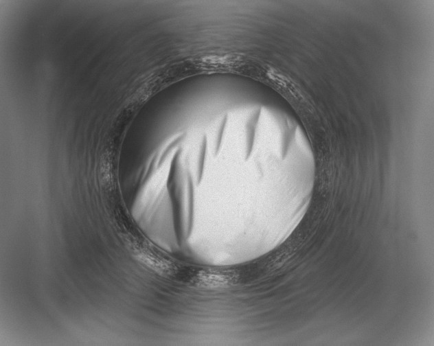 X0000082960706200702152306