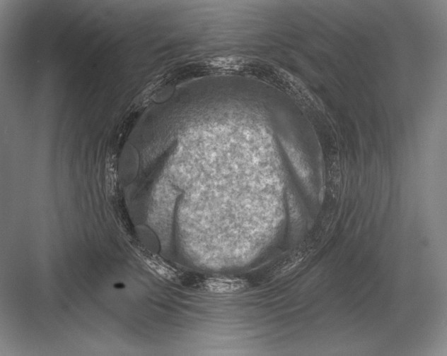 X0000082960707200702152306