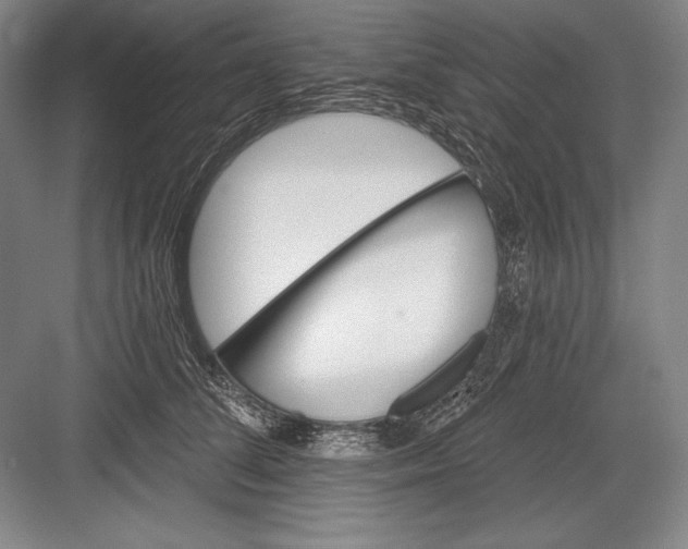 X0000082960708200702152306