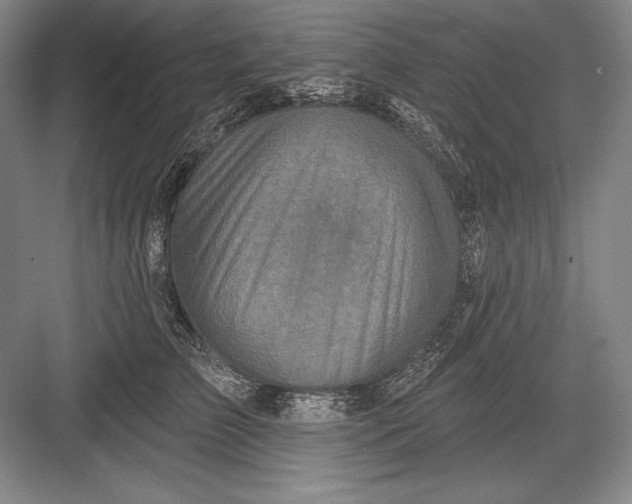 X0000082960709200702152306