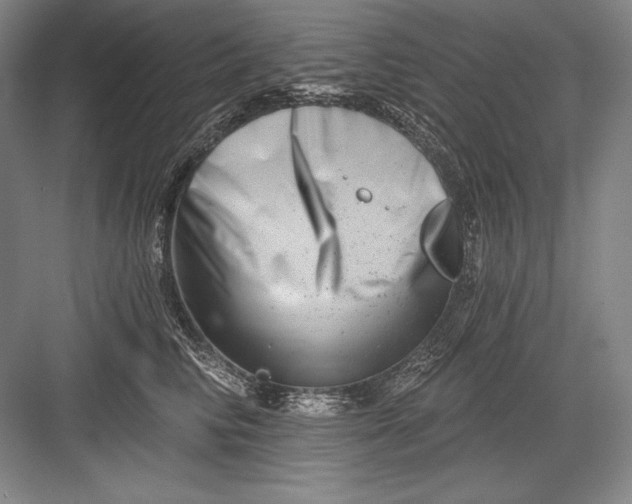 X0000082960710200702152306