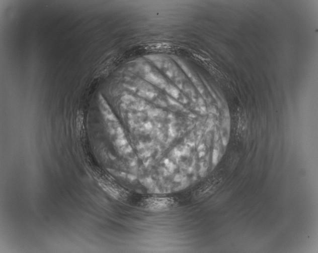 X0000082960711200702152306