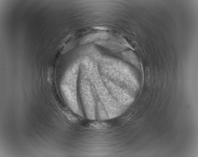 X0000082960712200702152306