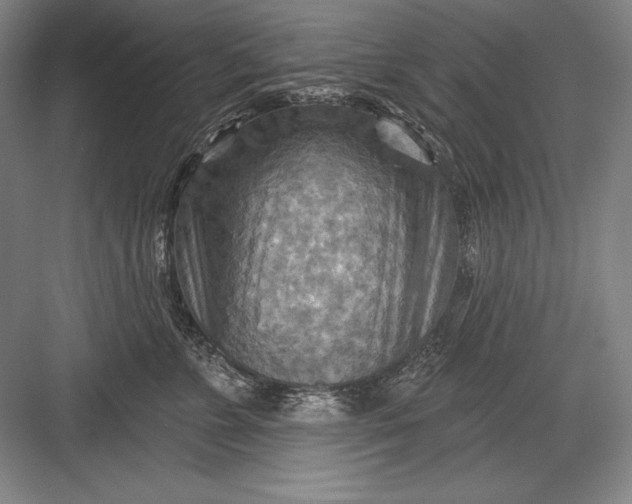 X0000082960715200702152306