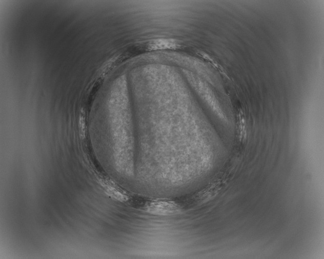 X0000082960716200702152306