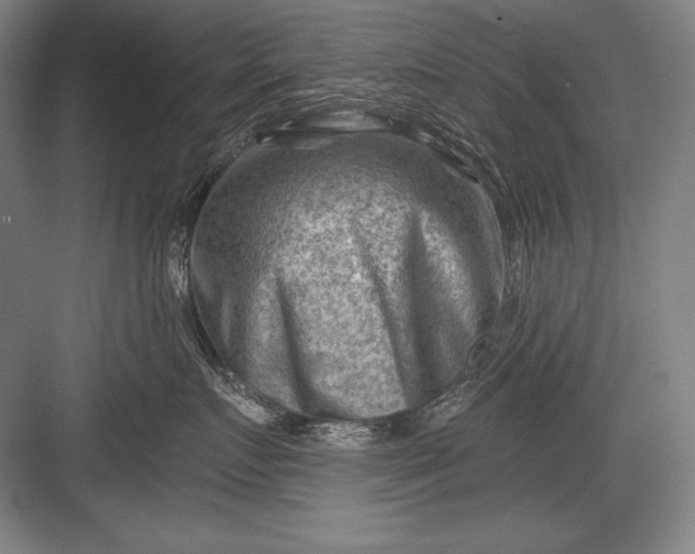 X0000082960719200702152306