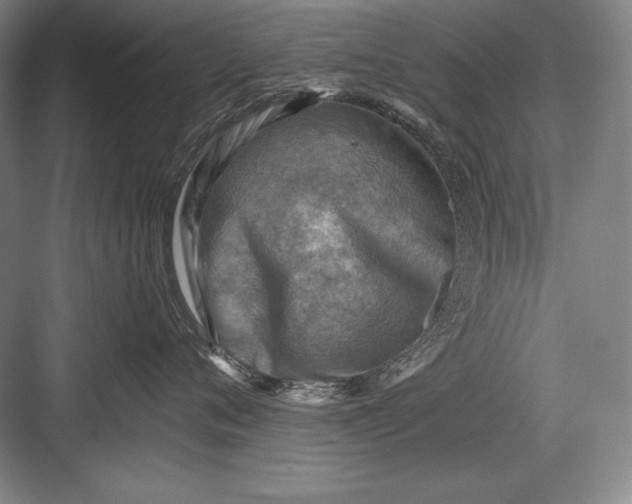 X0000082960720200702152306