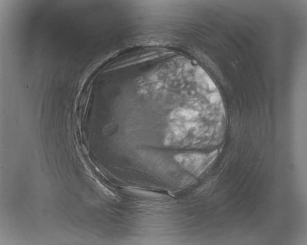 X0000082960721200702152305