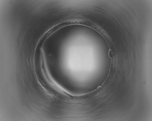 X0000082960722200702152305