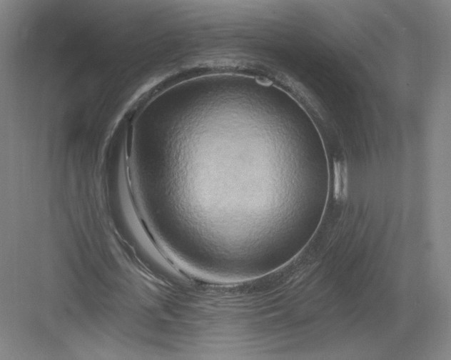 X0000082960723200702152305