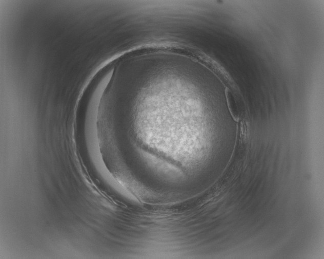 X0000082960724200702152305