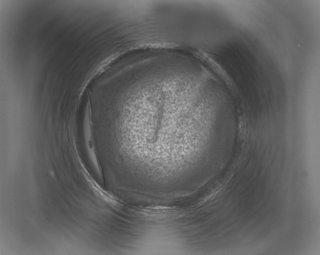 X0000082960725200702152305