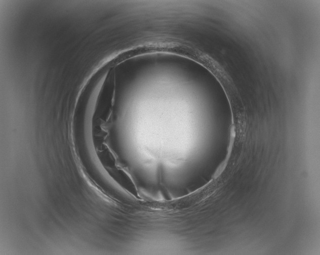 X0000082960726200702152305