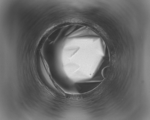 X0000082960727200702152305