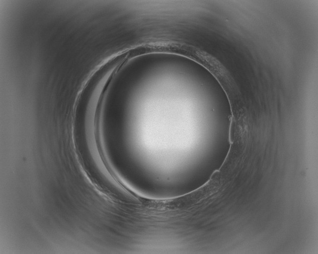 X0000082960728200702152305