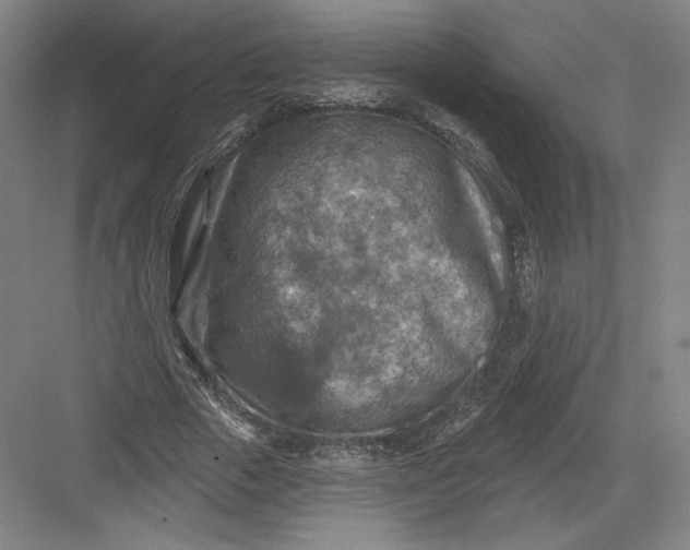 X0000082960729200702152305