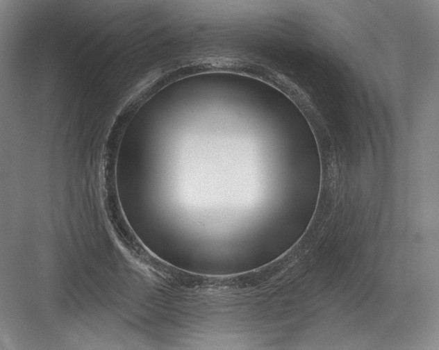 X0000082960730200702152305