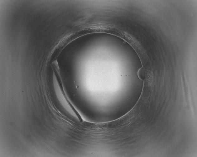 X0000082960731200702152305