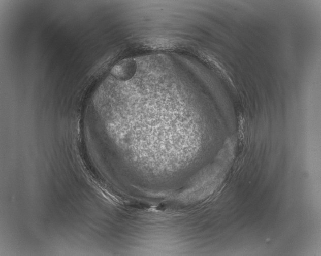 X0000082960733200702152305