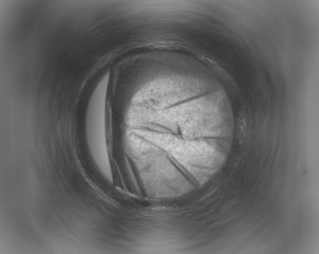 X0000082960734200702152305