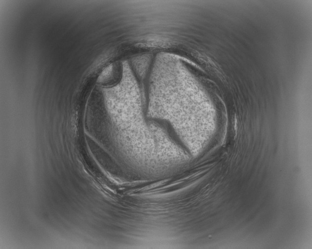 X0000082960735200702152305