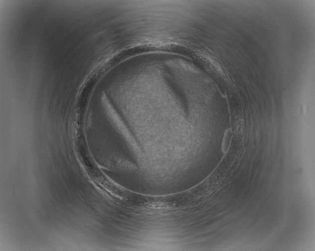 X0000082960736200702152305