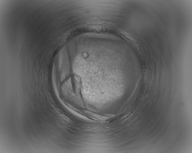 X0000082960737200702152305