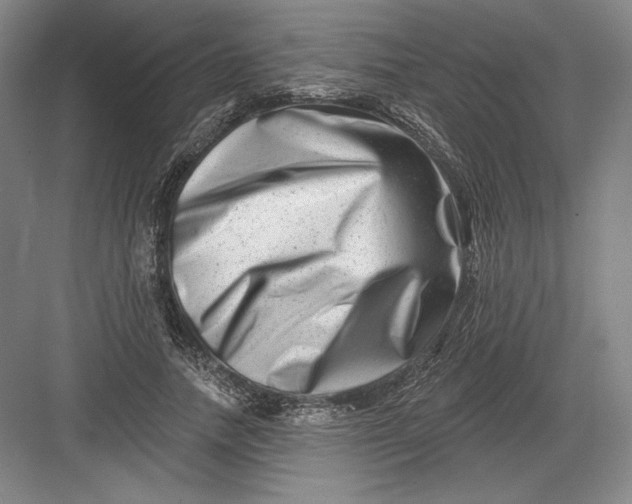 X0000082960738200702152305