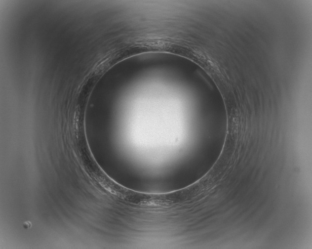 X0000082960739200702152305