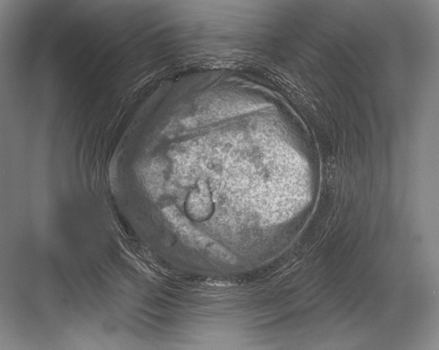 X0000082960741200702152305