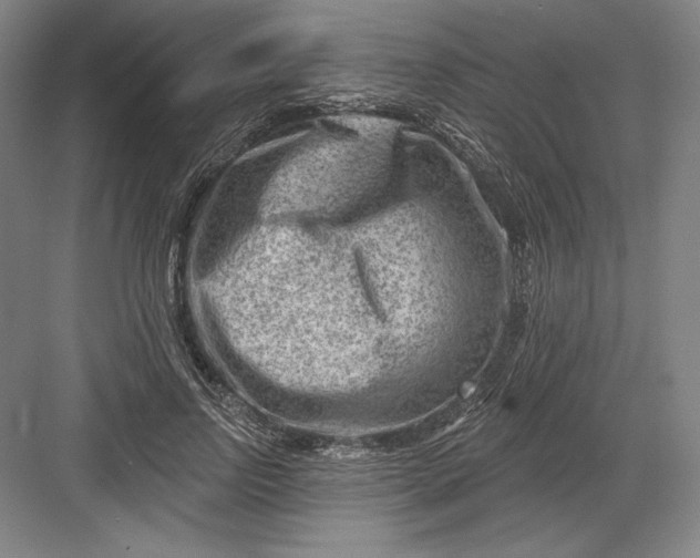 X0000082960742200702152305