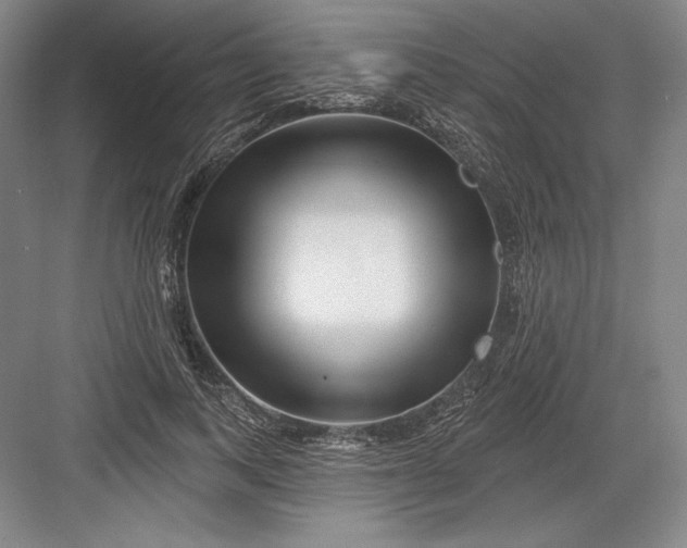 X0000082960743200702152305