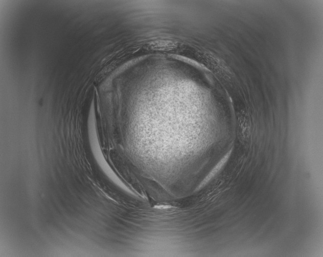 X0000082960745200702152305