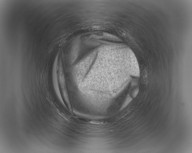 X0000082960746200702152305