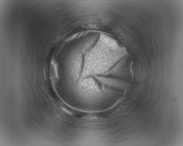 X0000082960747200702152305