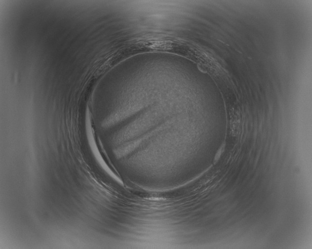 X0000082960748200702152305