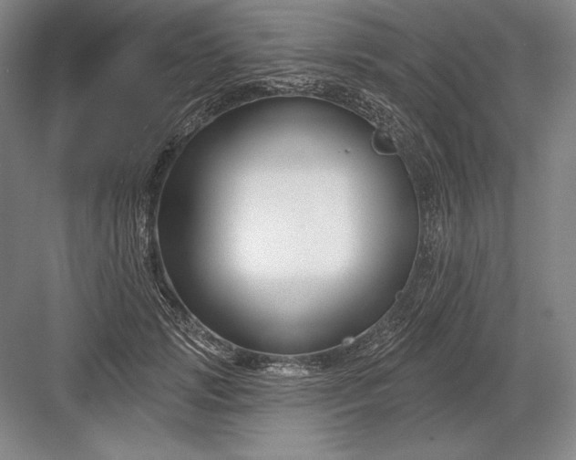 X0000082960749200702152305