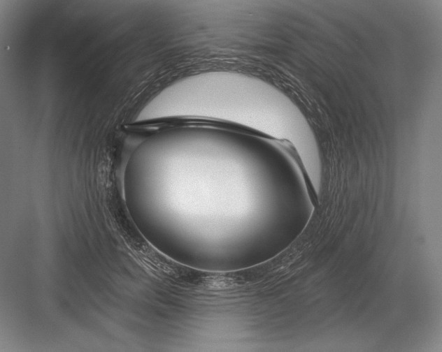 X0000082960750200702152305