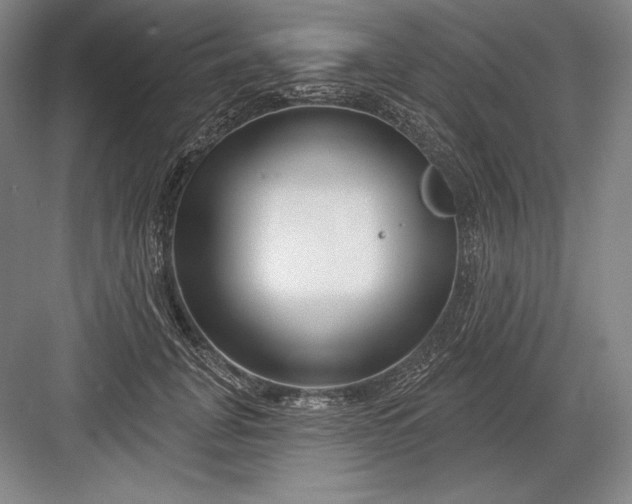 X0000082960751200702152305