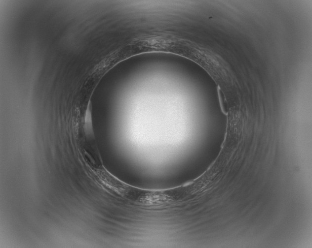 X0000082960752200702152305