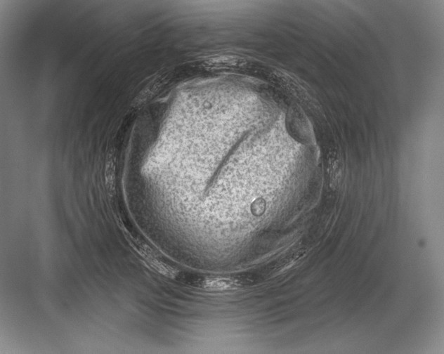 X0000082960753200702152305