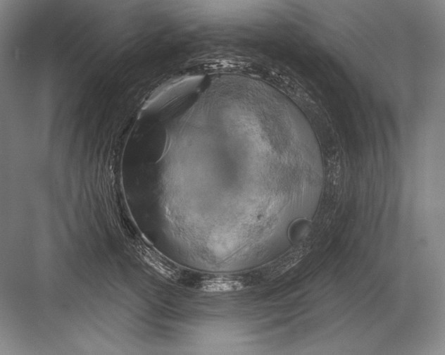 X0000082960754200702152305