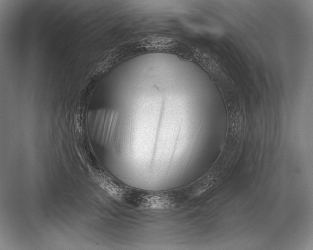 X0000082960755200702152305