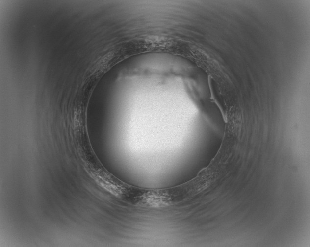 X0000082960756200702152306