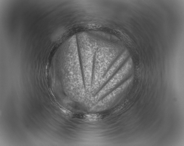 X0000082960757200702152306