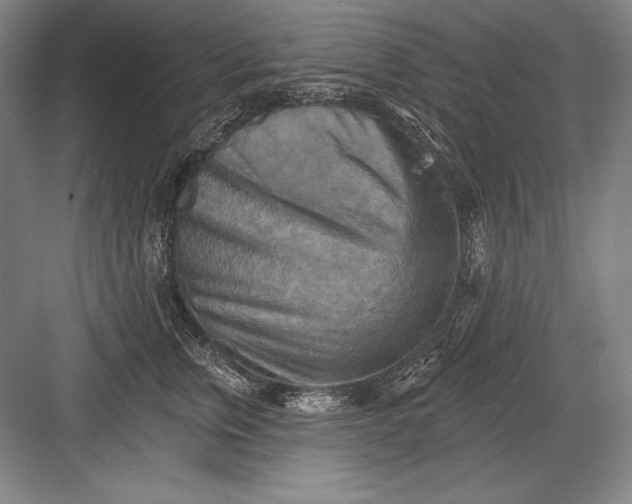 X0000082960759200702152306