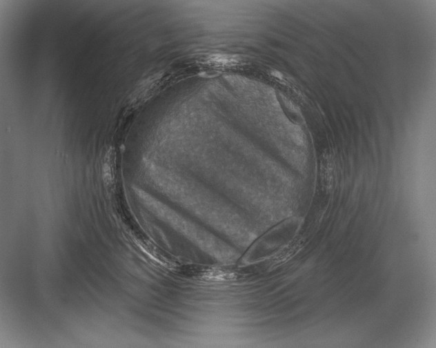 X0000082960760200702152306