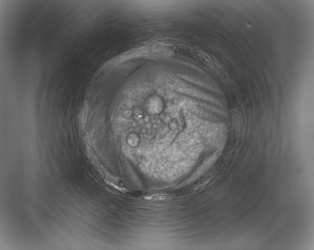 X0000082960761200702152306