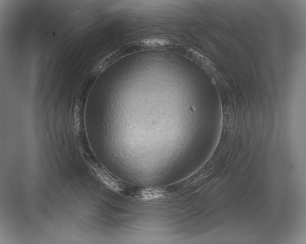 X0000082960762200702152306